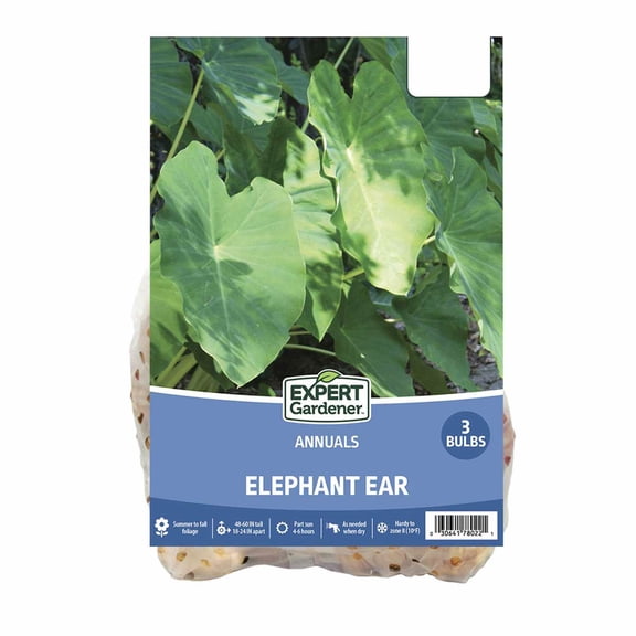 Expert Gardener Elephant Ear Dormant Bulbs Set of 3 Green Partial Sun Annual