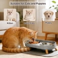 thumbnail image 6 of Elevated Cat Bowls with Food Mat, Splash Proof Anti Vomiting Raised Cat Food and Water Bowl Set, 2 Stainless Steel Dishes for Cats and Puppy, Pet Bowl for Indoor Cats White, 6 of 6