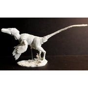 Creative Beast Collectible Teen Action Figures, Plastic Multicolor, 12 x 3.41 x 8.69 Inches, 1.45 lb