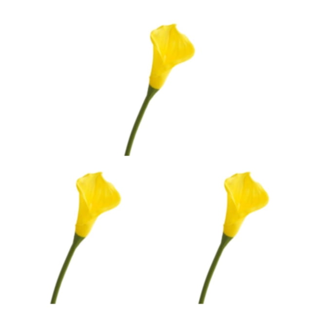 Cateissary Ramo de alcatraces inodoro de amplia aplicación, 20 pack/lote, para proyectos de bricolaje y decoración de fiestas, color amarillo Type1 NO1