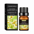 thumbnail image 1 of 20 Flavors Natural Essential Oils for Aroma Diffusers & Humidifiers, 10ml Water-Soluble Aromatherapy Fragrance Set for Home & Office Relaxation, 1 of 8