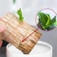 thumbnail image 5 of Bandeja de plástico para plantas de madera brasileña | Platillo para maceta blanco, grueso y duradero, sin agujeros | Recolector de agua de fácil drenaje para plantas de interior, cactus, jardinería, 5 of 6