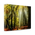 thumbnail image 2 of Tangletown Fine Art 'Yellow Leaves Rays' Photographic Print on Canvas, 2 of 3