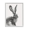 thumbnail image 2 of Stupell Industries Resting Wild Hare Portrait Bold Face Rabbit Illustration, 11 x 14, Design by Emma Caroline, 2 of 5