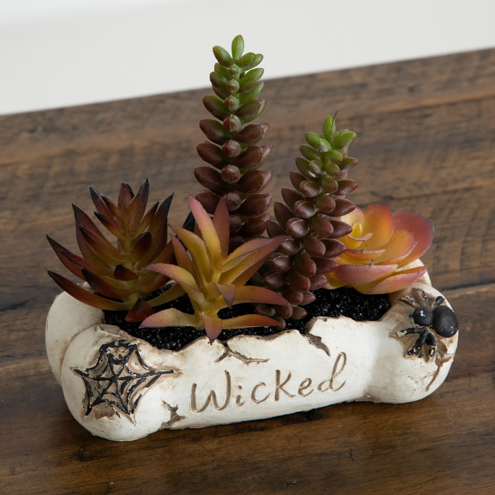 5in. Artificial Halloween Succulent Garden in Haunted Planter - Set of 2