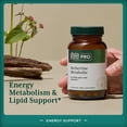 thumbnail image 3 of Suplemento Gaia Herbs PRO Berberine Metabolic 60 cápsulas, 3 of 7