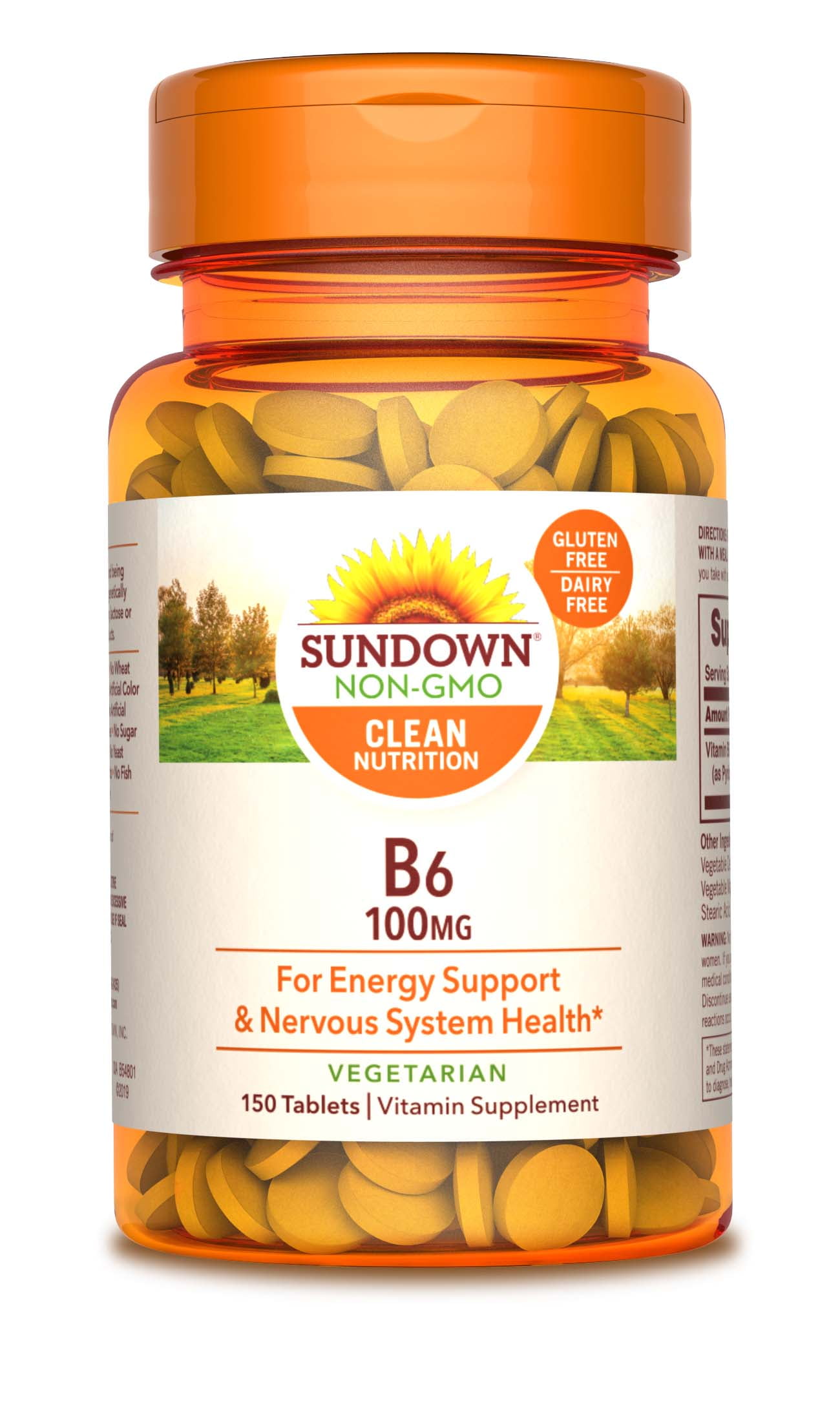 Sundown Naturals® Vitamin B6 100 mg, 150 Tablets