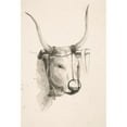 thumbnail image 3 of Henry Ericsson 11x14 Black Modern Framed Museum Art Print Titled - Bull's Head, 3 of 5
