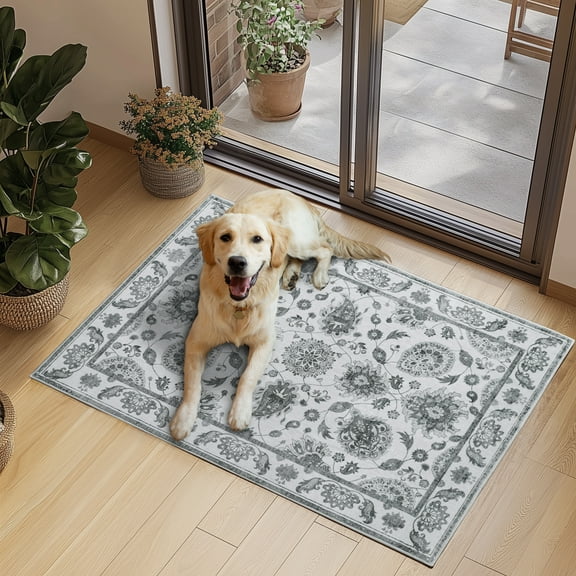 SARAG Entrance 2x3 Small Rugs,for Front Door Indoor Floral Carpets Gray Non-Slip Foldable Rugs Living Room Bedroom Kitchen Area Rugs