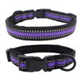 thumbnail image 1 of Fiudx Collar para Perro, con Correa de Microfibra Suave Reflectante, Ajuste Cómodo y Ajustable, Diseño Seguro para Paseos Nocturnos, Hebilla Ligera y Duradera, Incluye Correa de 120 Cm, Talla M (36-5, 1 of 2