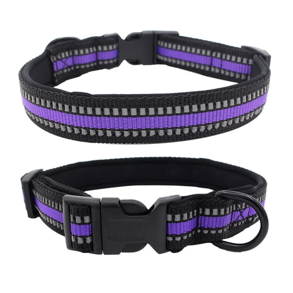Fiudx Collar para Perro, con Correa de Microfibra Suave Reflectante, Ajuste Cómodo y Ajustable, Diseño Seguro para Paseos Nocturnos, Hebilla Ligera y Duradera, Incluye Correa de 120 Cm, Talla M (36-5