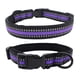 thumbnail image 1 of Juego de Collar para Perro Xihbxyly con Correa Reflectante y Suave para Cachorros, 1 of 2