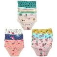 thumbnail image 2 of B&Q's Comfortable Underwear: 9-Pack Cotton Briefs for Toddler Little Girls and Kids | Sizes 2T-7T, 2 of 5