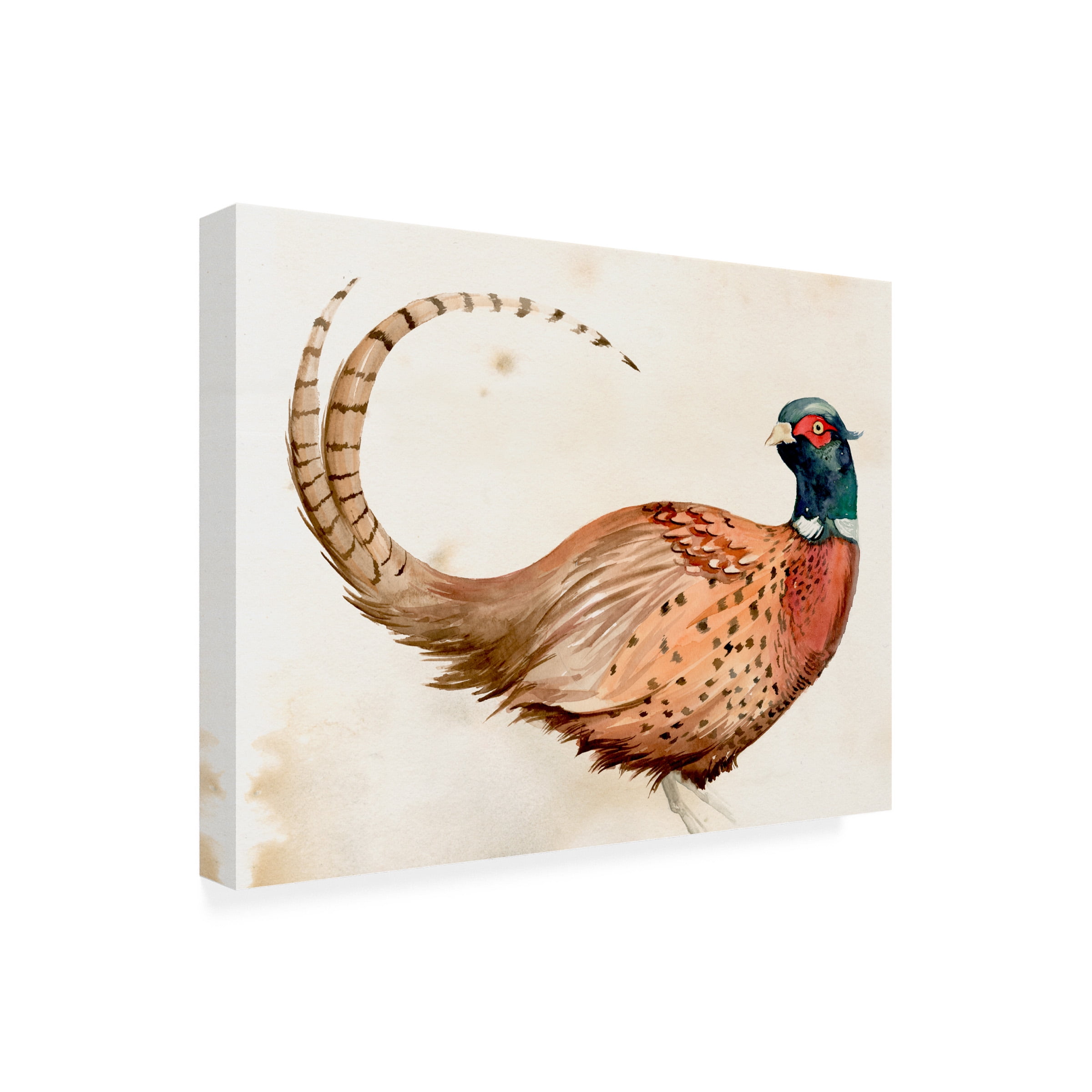 Jennifer Paxton Parker 'Pheasantry I' Canvas Art