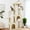 Beige, variant on 61" Heavy-Duty Multi-Level Cat Tree Tower for Large Indoor Cats & Maine Coons, Extra-Large Perch, 2 Spacious Condos, Durable Sisal Scratching Posts, Stable Activity Center