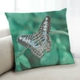 thumbnail image 1 of Ahgly Company Insects Butterfly Coussin d'Intérieur, 18 Pouces par 18 Pouces, 1 of 6