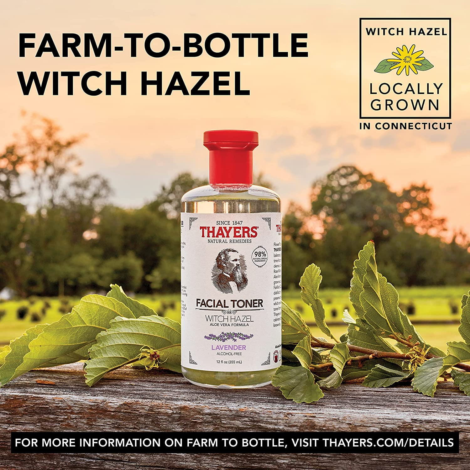 Thayers Natural Remedies Facial Toner Witch Hazel, Lavender, 12oz, 12-Pack