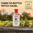thumbnail image 6 of Thayers Natural Remedies Facial Toner Witch Hazel, Lavender, 12oz, 12-Pack, 6 of 6