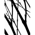 thumbnail image 2 of Burkhart, Monika 19x24 White Modern Wood Framed Museum Art Print Titled - Branch Silhouette I, 2 of 4