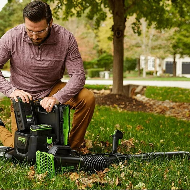 Greenworks vacuum 80v deals