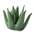 thumbnail image 3 of Soporte de anillo de cerámica de Aloe, plato de anillo, regalo de compromiso, soporte de joyería de boda, organizador, soporte de exhibición para, 3 of 8