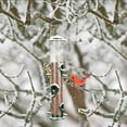 thumbnail image 6 of SNYNUXX Wild Bird Feeders for Outdoors Hanging, Tube Feeder, 6 Feeding Ports, Green - 1 Pack, 6 of 7