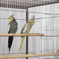 thumbnail image 2 of Cage à oiseaux Blush Flight de Prevue, 2 of 6