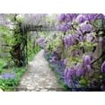 thumbnail image 2 of Outdoor Living and Style Purple and Green Wisteria Path Outdoor Canvas Rectangular Wall Art Decor, 2 of 2