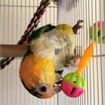 thumbnail image 2 of Ludlz Parrot Double Rattle Funny Bird Rattle Bird Bite Toy Hollow Double-Head Bell Ball Rattle Bite Chew Interactive Toy, 2 of 6