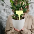 thumbnail image 2 of MasteelfCA 100pcs Plastic Waterproof T Labels Nursery Garden Labels Markers Plant Tags (Yellow), 2 of 9