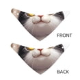 thumbnail image 3 of Honeii Cute Cartoon Kitten Print Pet Scarf Dog Bandanas for Dogs Triangle Dog Scarfs,Bandana Pet Cute Scarf Bibs for Small Medium Dogs and Cat-Small, 3 of 5
