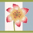 thumbnail image 1 of Fond d'Écran Rouge Blanc Jaune Fleurs Larges Bord Rétro Design, Rouleau 15' x 8.5'', 1 of 3