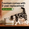 thumbnail image 3 of PETLIBRO 8 Packs Replacement Filters for Dockstream Cat Water Fountain, 3 of 9