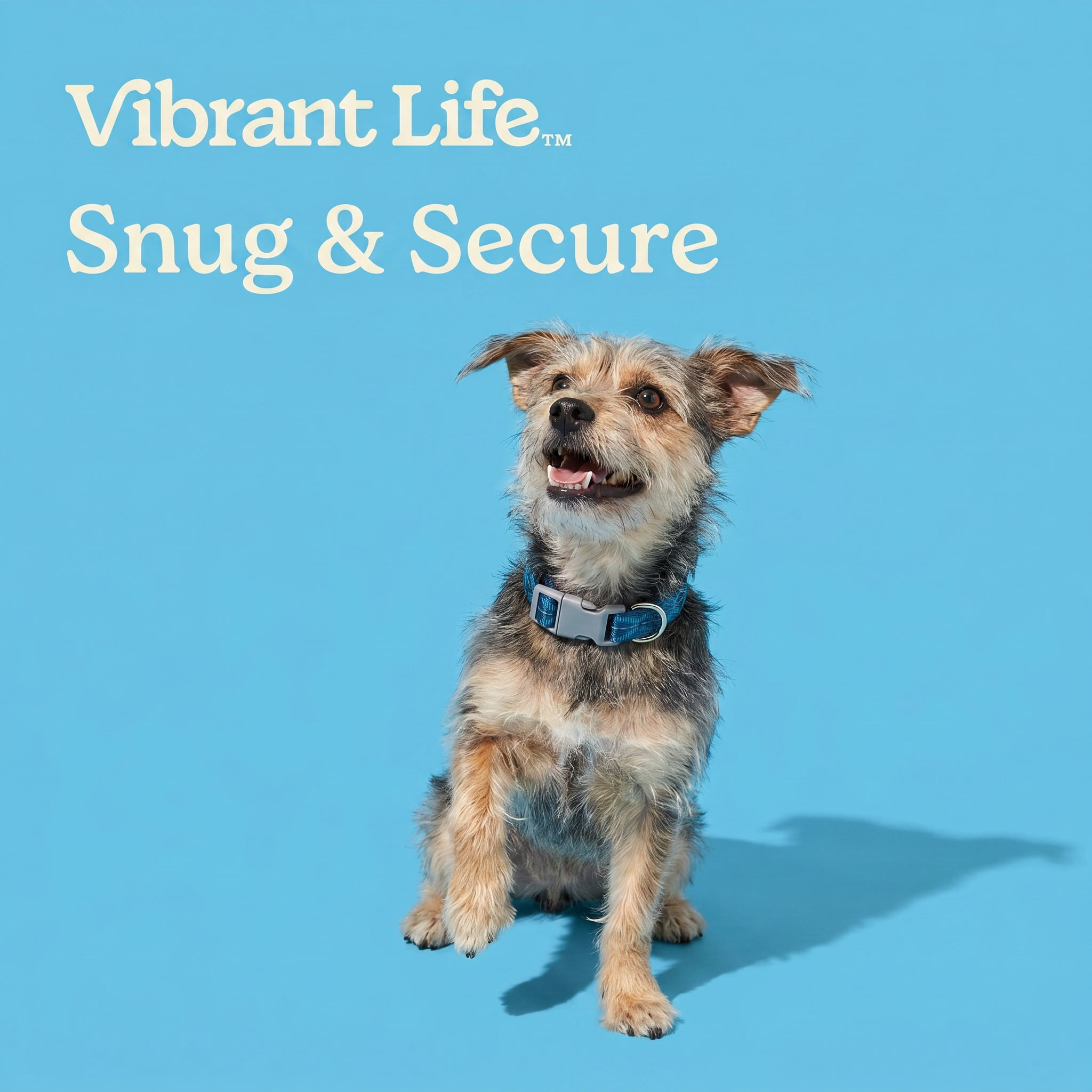 Vibrant Life Reflective Adjustable Dog Collar, Blue, Small