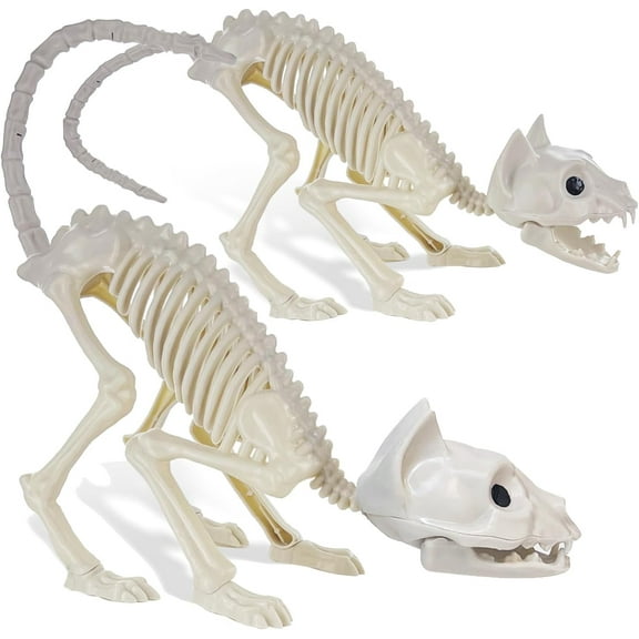 2 Pack Real Size Cat Skeleton - 20" Long Creepy Kitten Skeletons with Posable Tail Halloween Decor - Indoor & Outdoor Haunted House Scary Animal Party Decoration