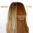 thumbnail image 3 of Wella KOLESTON PERFECT ME+ Permanent Creme Haircolor Dye, 2 oz - 12/03 Special Blonde / Natural Gold, 3 of 13