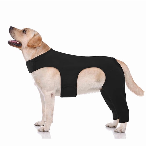 Rodillera para Perro con Rotura de Ligamento Cruzado Anterior (LCA) en Pata Trasera - Ajustable Ambas Patas Traseras 4 Estabilizadores M