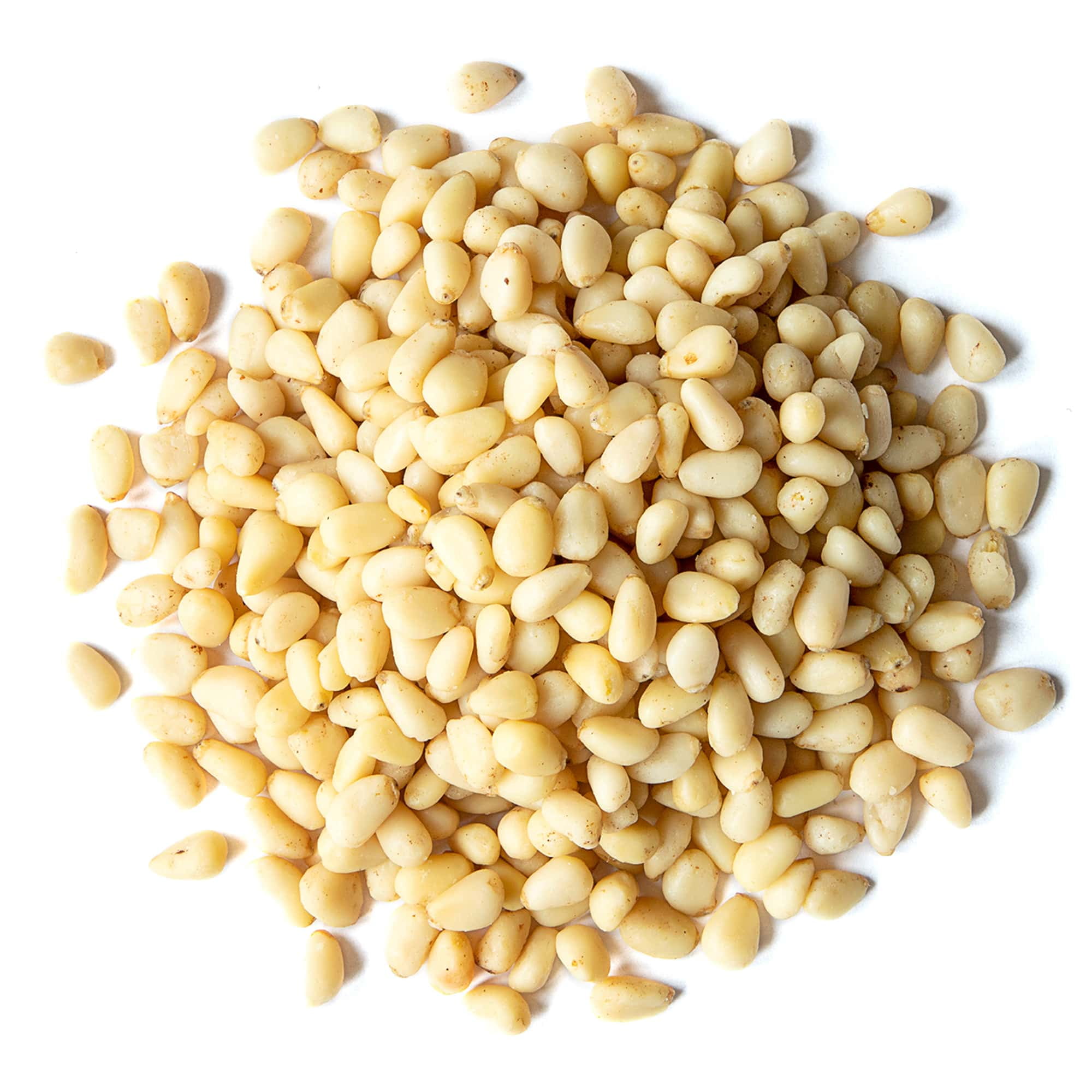 Food to Live Whole Pine Nuts, 8 Pounds, Non-GMO Verified, Raw Pignolias