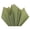 Kelly Green, variant on Bright Lime Tissue Paper Squares, Bulk 100 Sheets, Presents by A1 Bakery Supplies, Large 15 Inch x 20 Inch