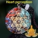 thumbnail image 1 of Collar de Cristal Meditación Piedras Colgante Yoga Energía Collares y Colgantes, 1 of 8