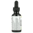 thumbnail image 4 of Herbs Etc - ChlorOxygen Chlorophyll Concentrate Professional Strength Alcohol Free Mint - 1 fl. oz., 4 of 6