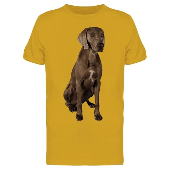 Posing Weimaraner, Sits Tee Men's -Image by Shutterstock