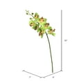 thumbnail image 2 of Vickerman 35" Green Real Touch Orchid Artificial Floral Stem, 2 of 3