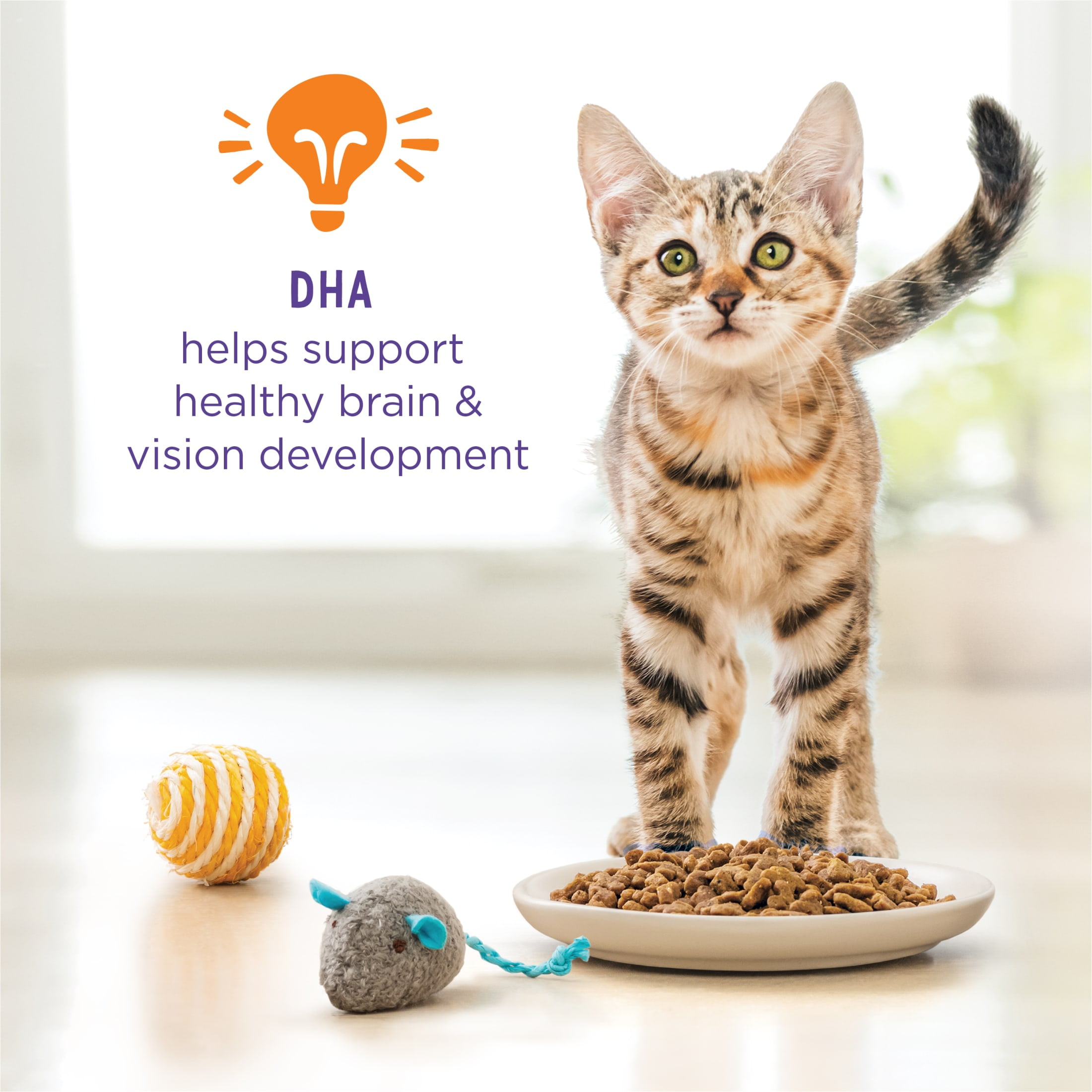 Purina Kitten Chow Chicken Recipe Dry Cat Food 14 lb in Bahrain at BHD 15 Rating 5
