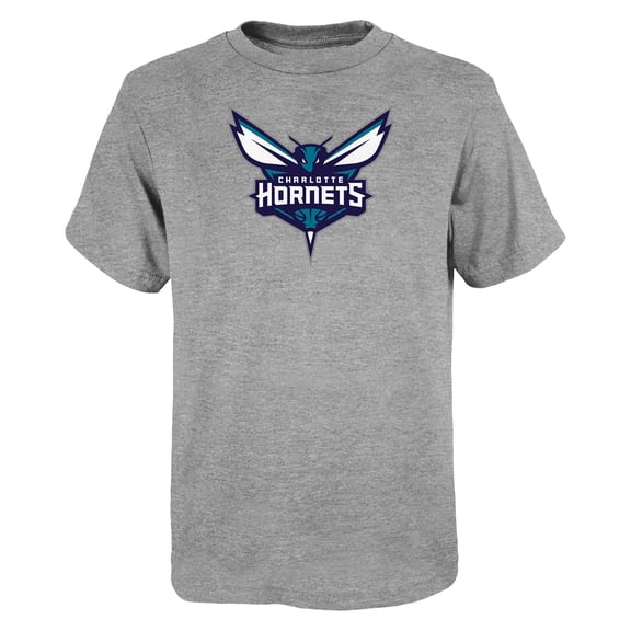 Youth Outerstuff Gray Charlotte Hornets Primary Logo T-Shirt