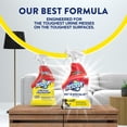 thumbnail image 6 of Resolve Pet Specialist Urine Destroyer, 22oz Pack of 2, 6 of 6