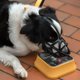 thumbnail image 3 of Cubierta transpirable ligera para la boca del perro para mascotas Larg jinwen bozal de perros, 3 of 5