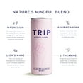 thumbnail image 5 of TRIP Sparkling Magnesium Drink, Elderflower Mint Flavor, 12 oz, 12 Pack, Adaptogen Drink With Ashwagandha and Lions Mane, 5 of 9