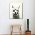 thumbnail image 4 of JEUXUS  Sylvie Alpaca Black and White Portrait Framed Canvas Wall Art, 4 of 4