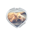 thumbnail image 1 of Animal Yellow Cat Photograph Picture Heart Mirror Travel Magnification Portable Handheld Pocket Makeup, 1 of 3